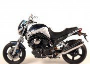 Yamaha BT1100 Bulldog Yamaha BT1100 Bulldog